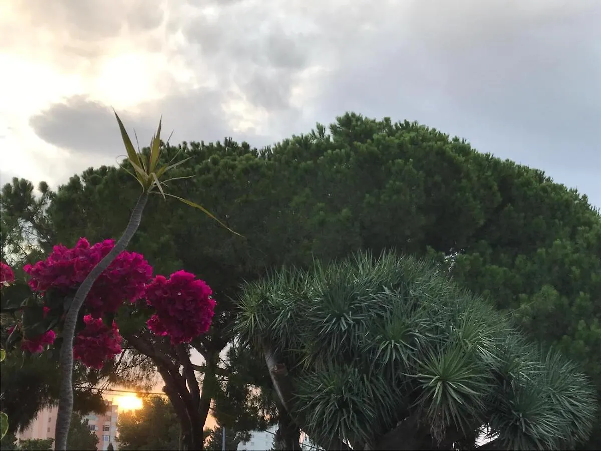 Estudio Imperio Διαμέρισμα Benalmádena Ισπανία